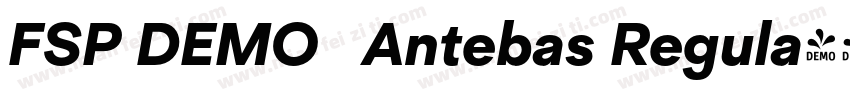 FSP DEMO   Antebas Regula字体转换